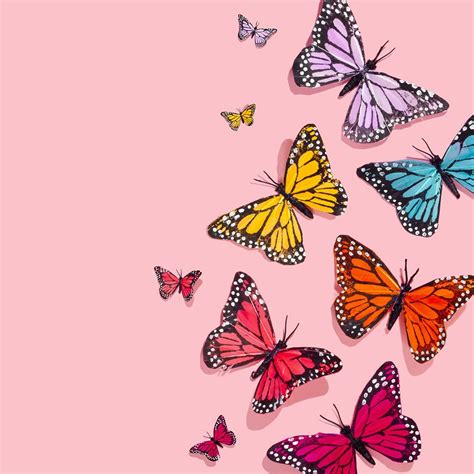 Rainbow of Butterflies | Amy Shamblen, Art Direction Photography, Art ...