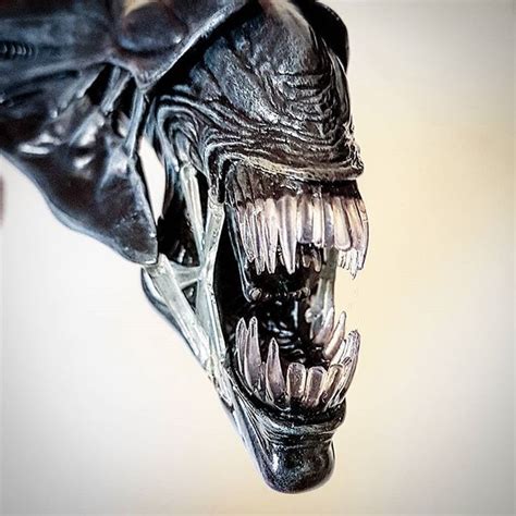 Head detail of our new Alien Queen Marquette (2019) by #Sideshow # ...