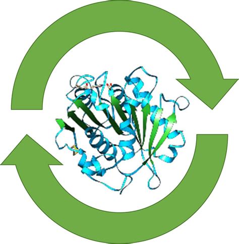 Preface to Special Issue on Biocatalysis as Key to Sustainable ...