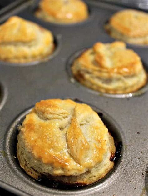 Homemade Mini Meat Pies have a delicious flaky pie crust, are simple and quick to make. | Meat ...