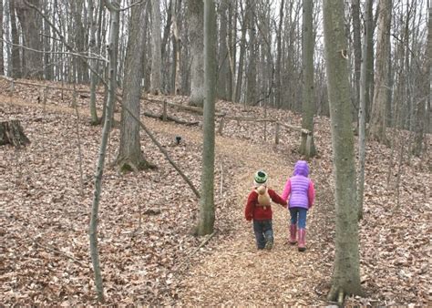 Blandford Nature Center has Trails Perfect for Kids and Animals to see in the Visitor's Center ...