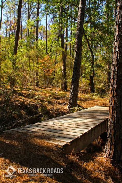 Hiking trail in Buescher State Park - Texas Parks and Wildlife. The trails are very easy going ...