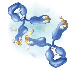 Benefits of Privigen | PRIVIGEN Immune Globulin Intravenous(Human), 10% Liquid