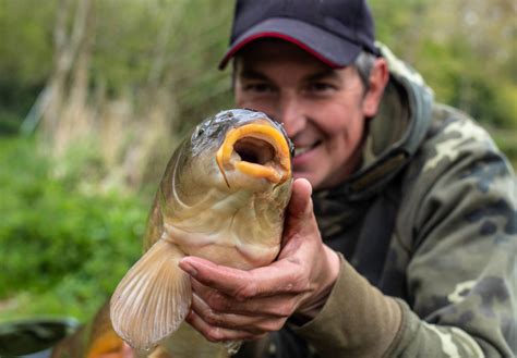 Fishing Bait, Bulk Boilies & Ingredients - Bait Superstore