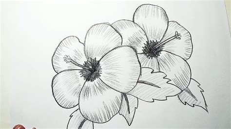How To Shade A Flower With Pencil | Best Flower Site