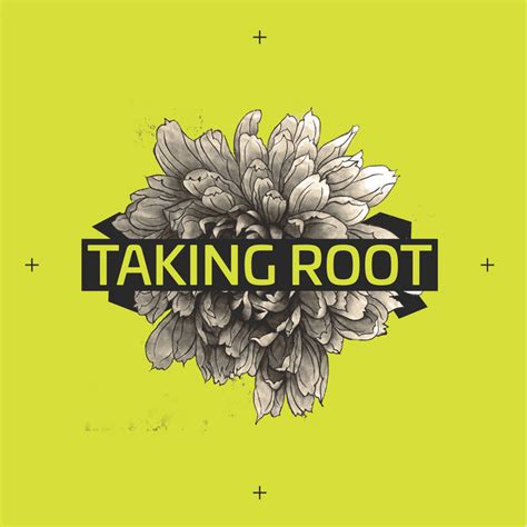 Taking Root EP | Various Artists | Variance