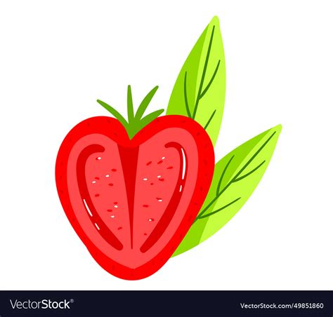 Half cut strawberry with seeds and green leaves Vector Image