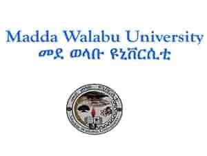 Madda Walabu University: Bale Robe, Ethiopia