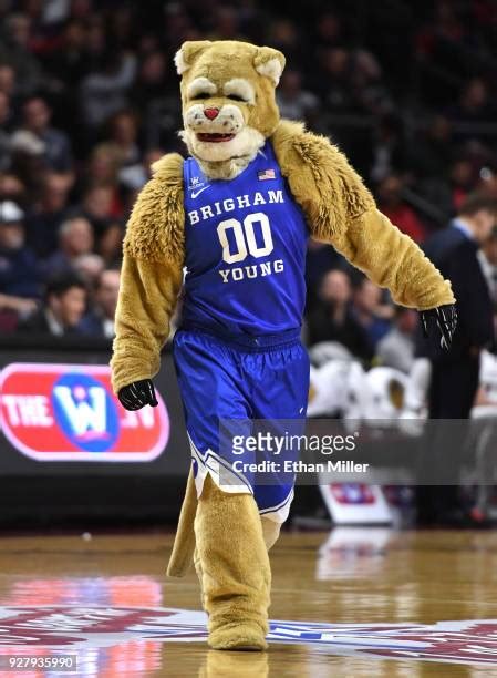 Byu Mascot Cosmo Photos and Premium High Res Pictures - Getty Images