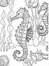 Coloring Pages Printable Ocean sketch template