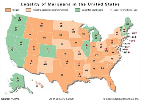 marijuana | History, Effects, THC, & Legality | Britannica