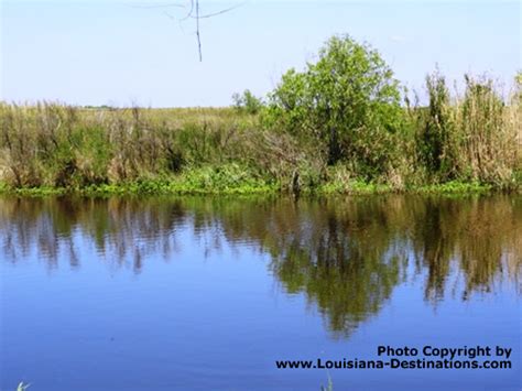 Pecan Island Louisiana travel and tourism information, location, map ...