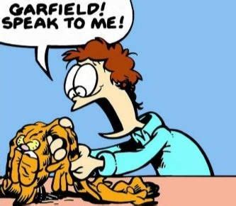 Pin by Jose Luis Vazquez on A APicture | Garfield pictures, Memes, Garfield