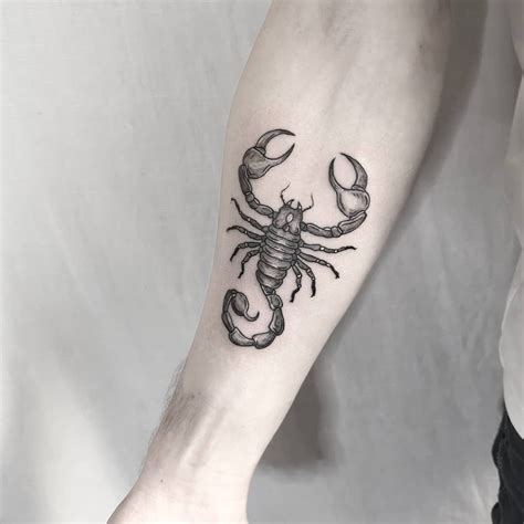 My Blog - Alice's dreams | Scorpio tattoo, Sleeve tattoos, Scorpion tattoo