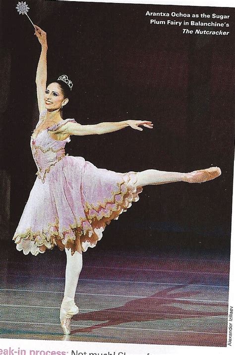 Sugar Plum Fairy | Sugar plum fairy costume, Ballet inspiration, Nutcracker costumes