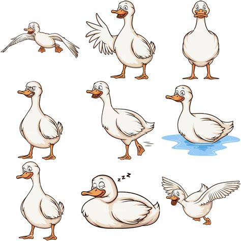 White Ducks Cartoon Vector Clipart - FriendlyStock