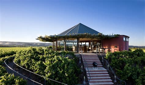 McLaren Vale Wineries: 6 Highly Rated Vineyards