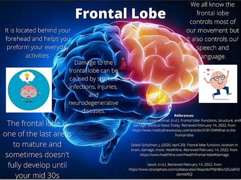frontal lobe brain vaccine injuries