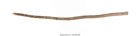 Old Bough Wooden Stick Isolated On Stock Photo 2311697969 | Shutterstock