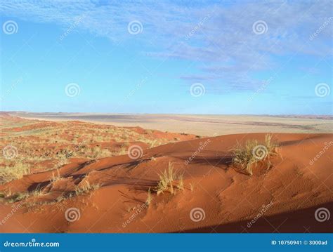 Sand Dunes in the Kalahari Desert Stock Image - Image of desert, africa ...