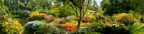 Leonardslee Gardens | Collection Panorama Art