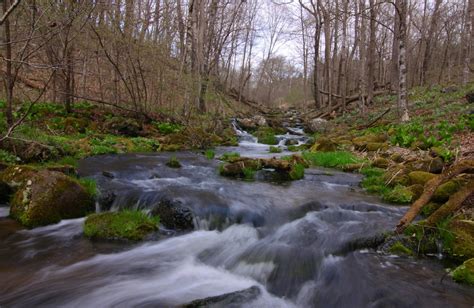 Guest photo galleries: Seasonal sights along the St. Croix – St. Croix 360