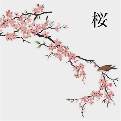 Japanese Sakura Drawing at GetDrawings | Free download