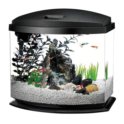 This Is How Many Fish You Can Fit In A 5-Gallon Tank – Your Fish Guide