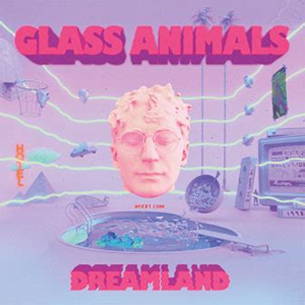 "Heat Waves" Song by Glass Animals | Music Charts Archive