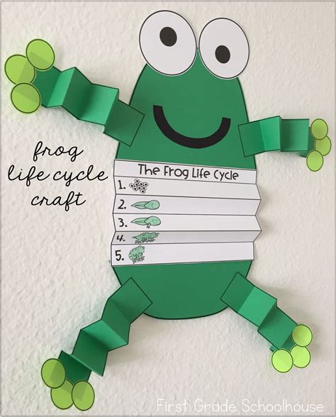 Frog Life Cycle Activities and Craft | Escola, Alfabetização, Educação