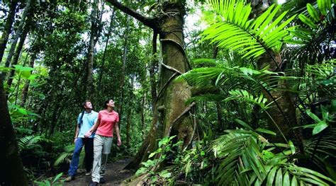 Half Day Rainforest 4WD Adventure | Things to do in Cairns