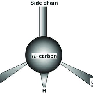 3 Structure of L-a-amino acid. There are 20 (recently expanded to 22 ...