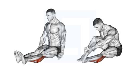 Seated Calf Stretch - Guide, Benefits, and Form