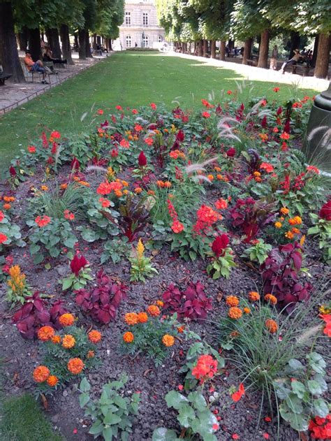 Color! Jardin du Luxembourg | Plants, Jardin, Color