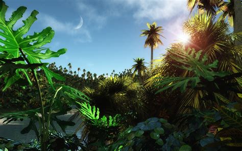 HD Jungle Desktop Backgrounds