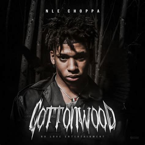 NLE Choppa - Cottonwood [COVER/TRACKLIST] [COVER] https://www.hiphop ...