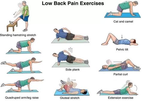 Back Pain Exercises - Home | Facebook