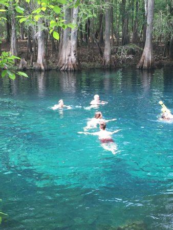 Homosassa River - 2021 All You Need to Know BEFORE You Go (with Photos) - Tripadvisor