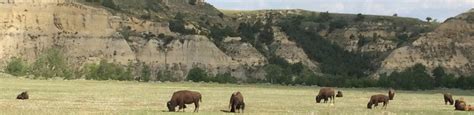 Medora 2019: Best of Medora, ND Tourism - TripAdvisor