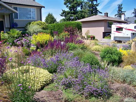 Pin by Cheron McAleece on Front Yard Planters | Drought resistant landscaping, Drought tolerant ...