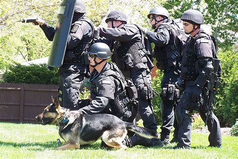 Man's Best Friend: The Importance and Impact of Truth in K9 Handling - ITS Tactical