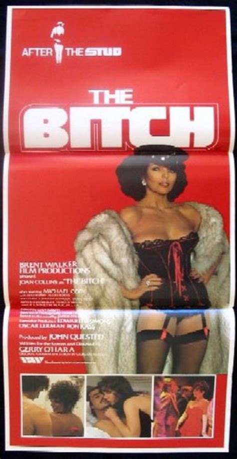 All About Movies - Bitch, The Daybill Movie poster