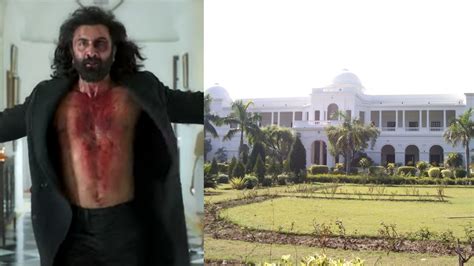 5 interesting facts about Pataudi Palace, where Ranbir Kapoor’s Animal was shot