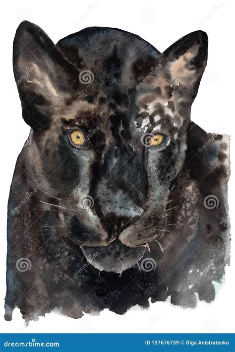 Watercolor Drawing of a Black Jaguar, Panther, Golden Eyes Stock ...