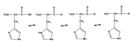 Solved: Histidine Has Ionizable Groups With PKa Values Of ... | Chegg.com