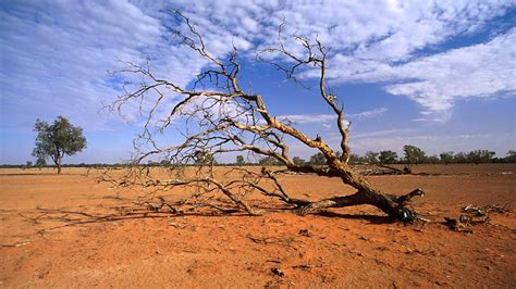 The impact of drought in Australia - Droughts - Edexcel - GCSE ...