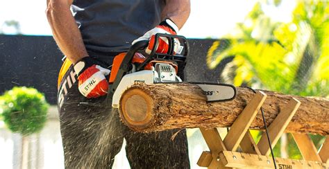 Nine Essential Chainsaw Safety Tips This Winter - STIHL Blog