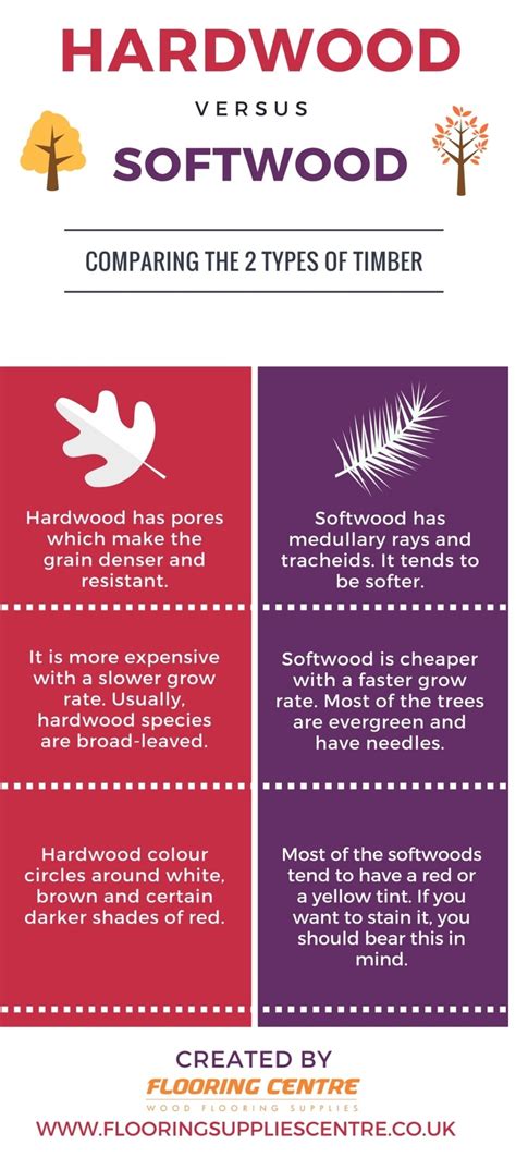 Differences Between Softwood and Hardwood Trees | Flooring Centre