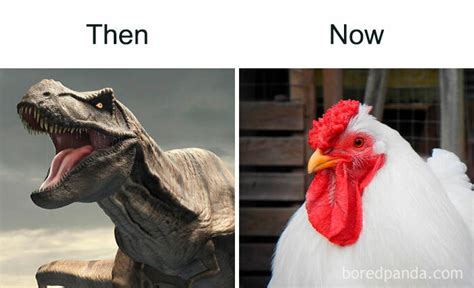 People Are Making Fun Of Evolution Of Pretty Much Everything With 40 Hilarious Memes | Bored Panda