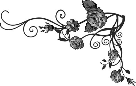 Flourishes clipart vine, Flourishes vine Transparent FREE for download ...